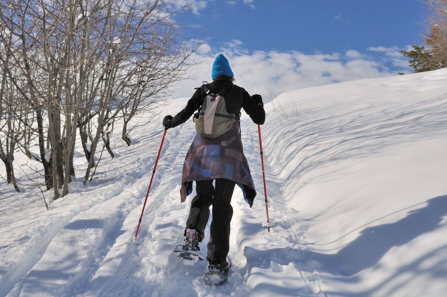 raquetas de nieve